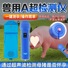 兽用A超侧孕仪猪用A超检测仪超声波测孕猪羊用人工孕检养殖设备