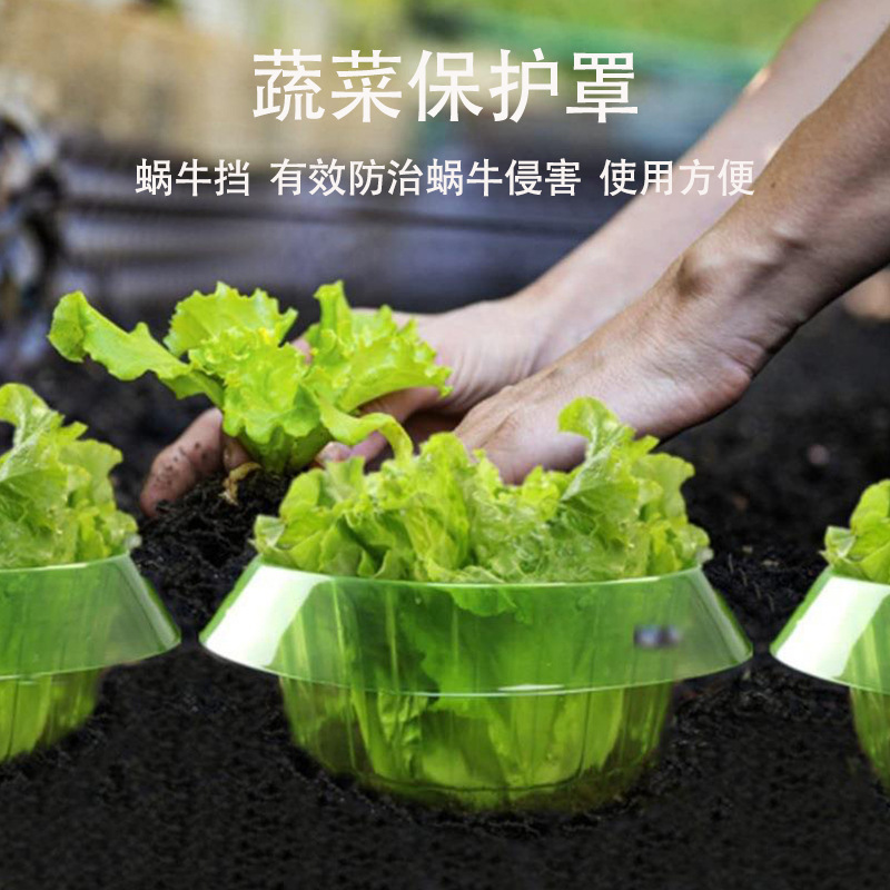 蜗牛挡大量现货育苗保护罩蔬菜保护罩圆形加厚透气绿色透明防蜗牛