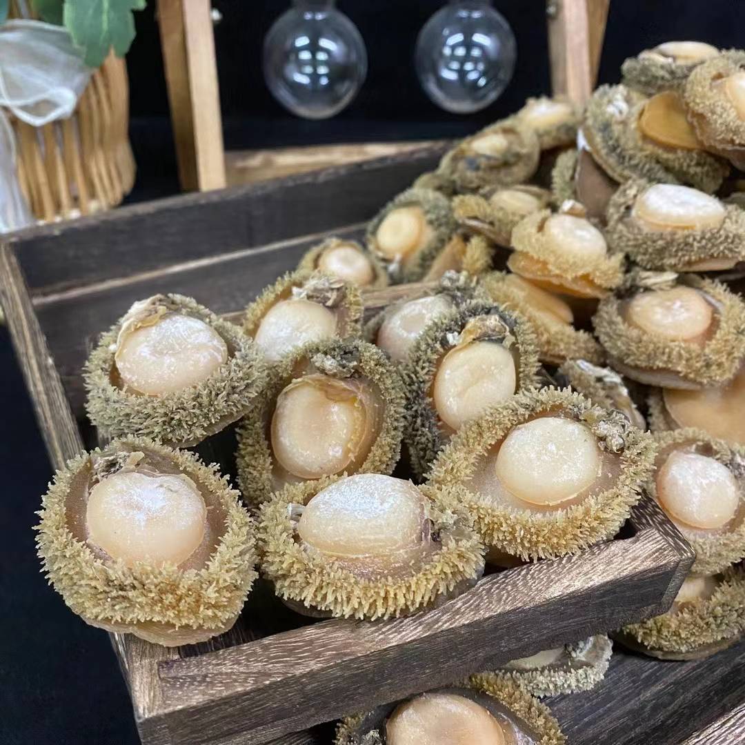 深海南非鲍鱼15-16头干货 溏心干网鲍特级精选货酒店专用款500g