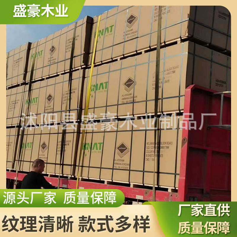 出口外贸生态板 外贸马六甲生态板 多层免漆生态板高档细木工板