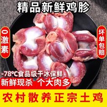 新鲜大鸡胗4斤冷冻生冷冻鸡肫带肚鸡珍农家散养烧烤食材商用整箱