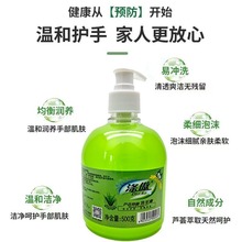 工厂直销花香洗手液500ml 野菊花植物洗手液家用泡沫洗手液