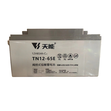 天能蓄电池tn12-38e~250e系列铅酸储能用免维护蓄电池电子设备系