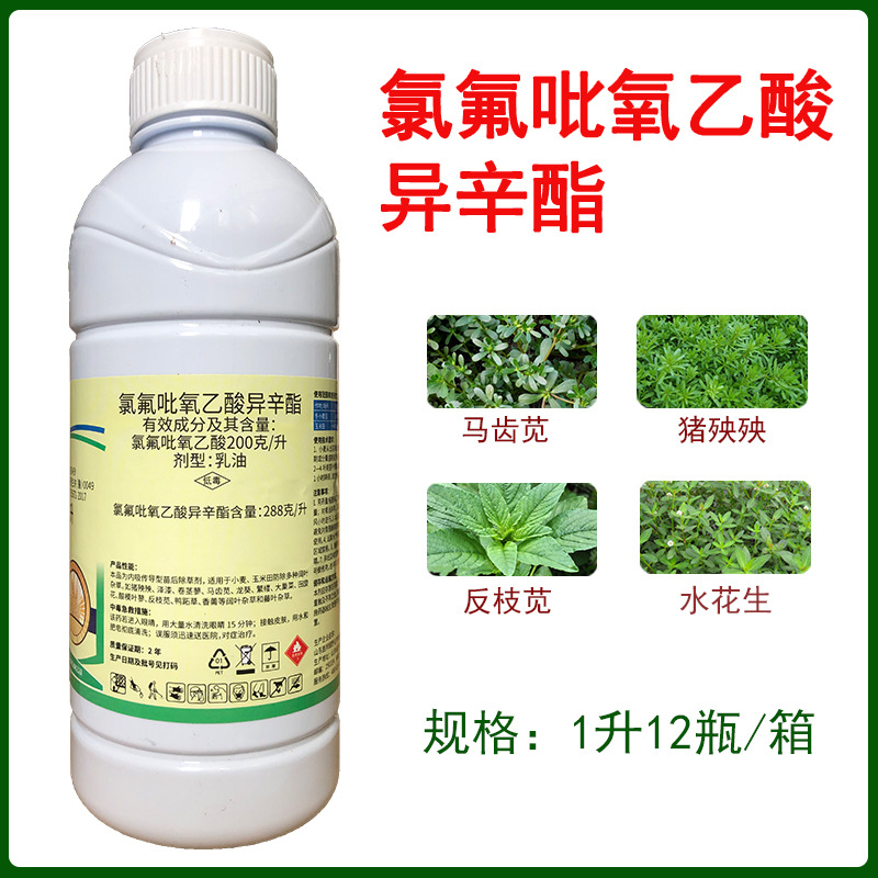 施地隆氯氟吡氧乙酸异辛酯冬小麦玉米田除旋花拉拉秧葎草除草剂