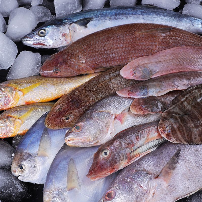 黄花鱼海杂鱼海鲜清仓小海鱼新鲜小杂鱼批发整箱鲜鱼速冻批发杂鱼