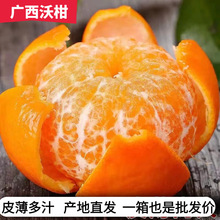 广西沃柑水果当季新鲜橘子水果批发薄皮现摘批发10斤贸易