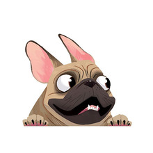 13 厘米,跨境 小鹿法国斗牛犬车贴宠物狗乙烯基贴花保险杠贴