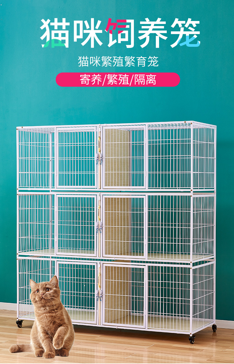 猫笼子猫舍繁殖繁育笼木板底猫笼垫板底猫笼寄养笼猫笼子猫舍猫笼