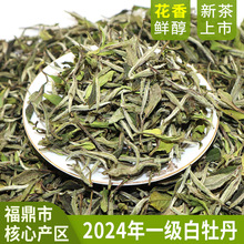 2024年新茶福鼎白茶一级白牡丹散茶花香太姥山脉核心产区茶叶批发