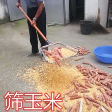 [筛网]花生筛土农用家用加粗型过滤网铁锨玉米板栗大枣漏土