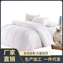 4R9Z宾馆酒店专用纯白色九孔丝棉被芯双单人床上空调被加厚春秋冬