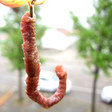 沙蚕干海蛐蟮宠物鱼海鱼饵速干沙虫海钓海蚯蚓海蜈蚣便携易储梭鱼