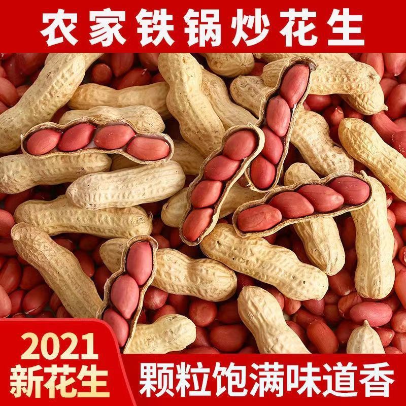 【年货】农家铁锅炒花生瓜子2021年新货带壳原味四粒红衣红皮花生