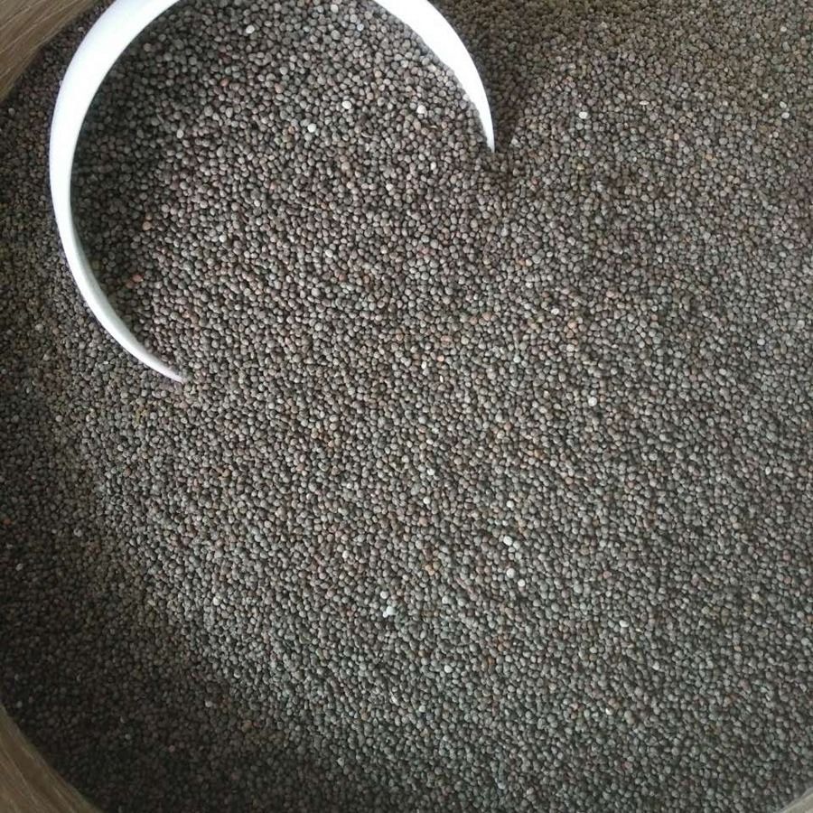 贵州特产农家油性酥麻子 引子 紫苏籽 紫苏子 酥麻籽 引子 包邮