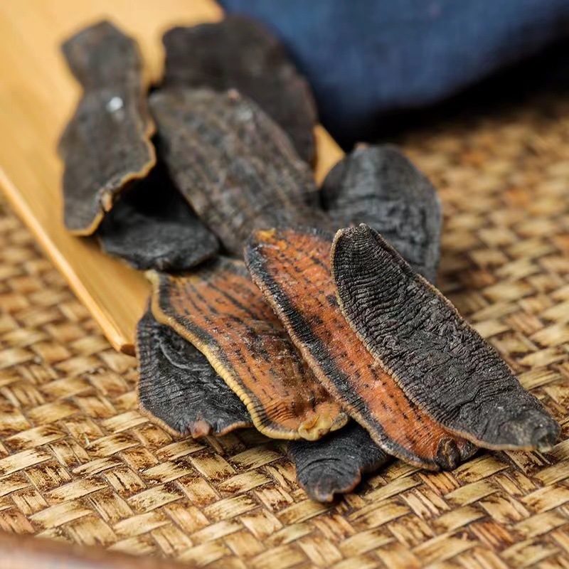 水蛭蚂蝗 中药材水蛭 金边大水蛭产地货源无理由退换货-阿里巴巴