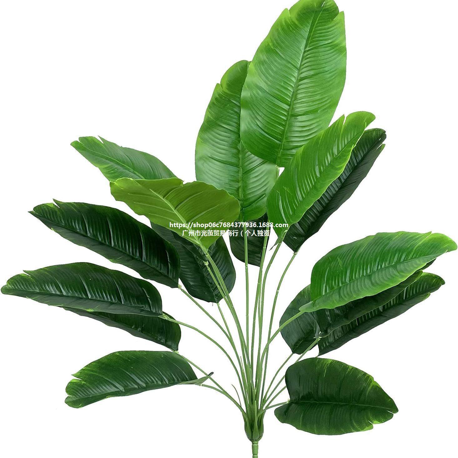 仿真绿植18头芭蕉叶园林造景装饰天堂鸟过胶片叶子植物墙旅人蕉