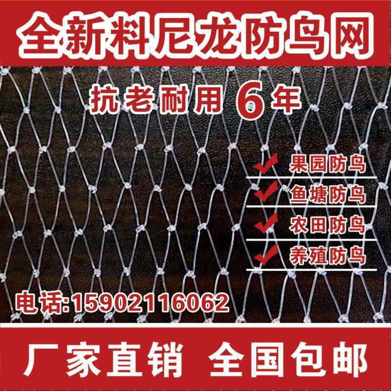 白色尼龙防鸟网透明耐用果园果树葡萄樱桃稻谷鱼塘养殖天网防鸟网