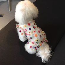 狗狗衣服夏季夏款薄纱裙小型犬泰迪比熊约克夏马尔济斯猫咪狗防晒