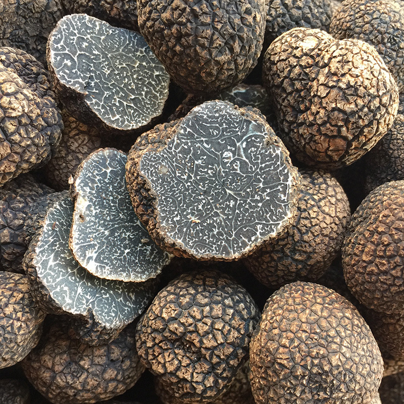 云南特产贡山猪拱菌块菌黑芯松露非松露批发松茸干货新鲜黑松露菌