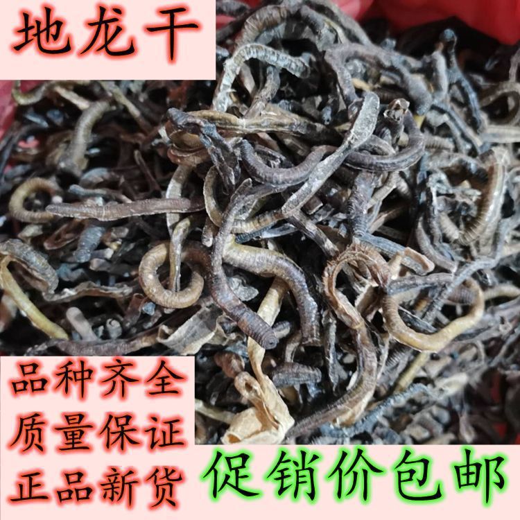 新货蚯蚓干 地龙 未开地龙 臭蚯蚓 黑蚯蚓鱼饵粉250g散装包邮真货