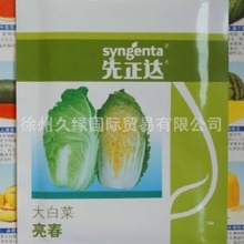 供先正达原装进口前期耐寒后期耐热高品质大白菜种子-亮春等
