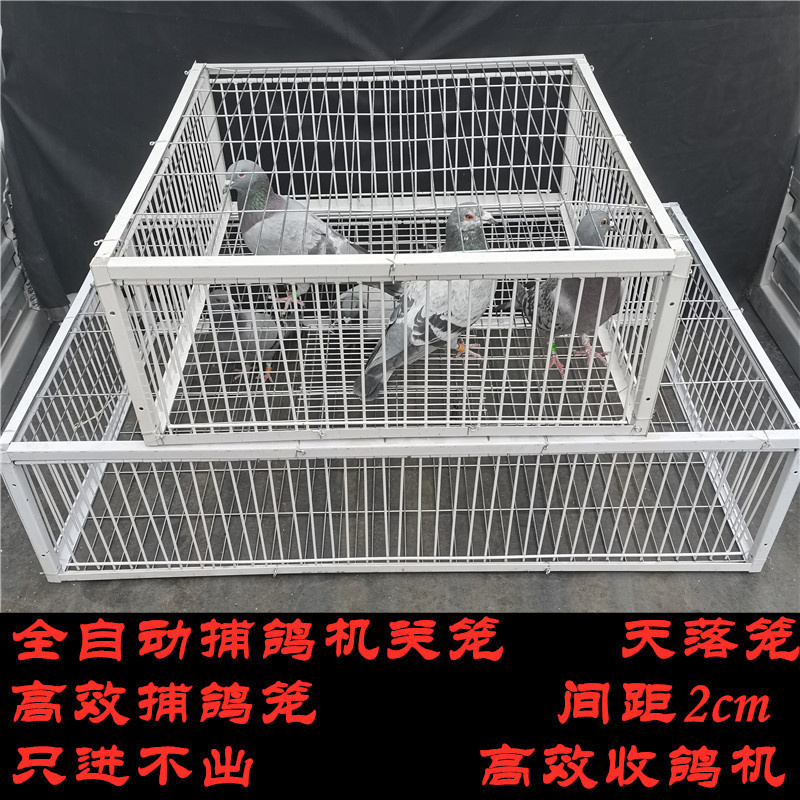 只进不出拼装笼 诱捕天落笼 自动撞门小鸽舍捕鸽神器铁丝笼热卖-报价