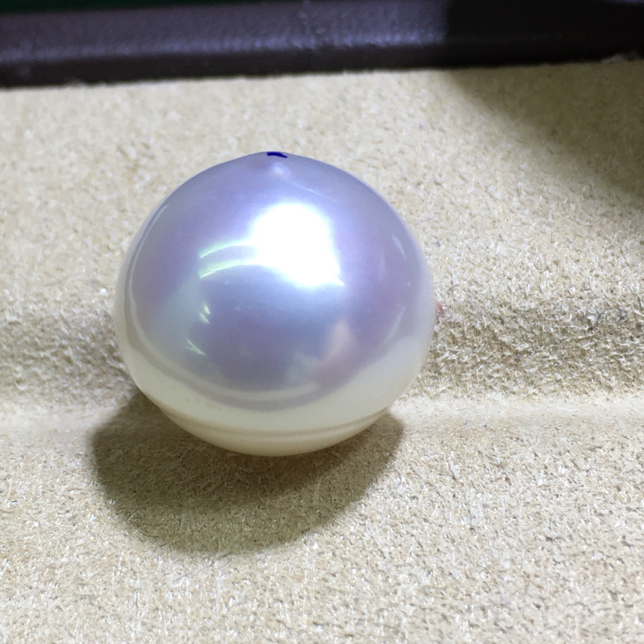 天然海水澳洲南洋白珍珠