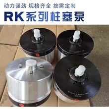 厂家批发RK系列超高压径向柱塞泵铜壳泵头大流量机床静压RK柱塞泵