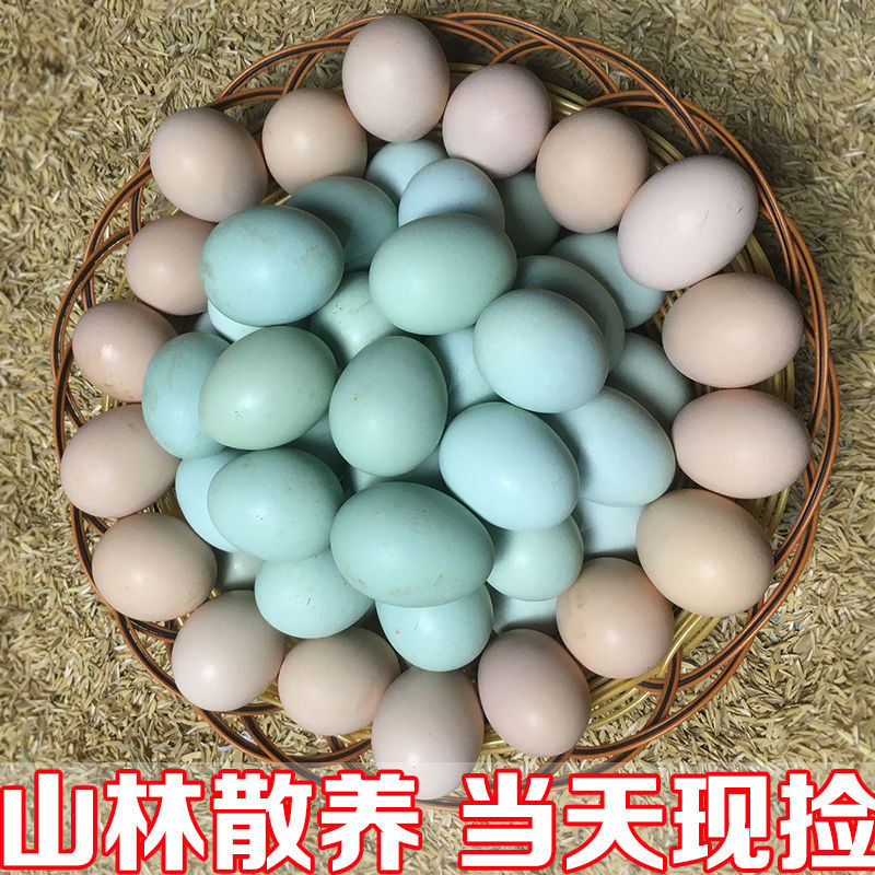 山林散养绿壳乌鸡蛋土鸡蛋柴鸡蛋笨鸡蛋乌骨鸡蛋绿皮蛋批发