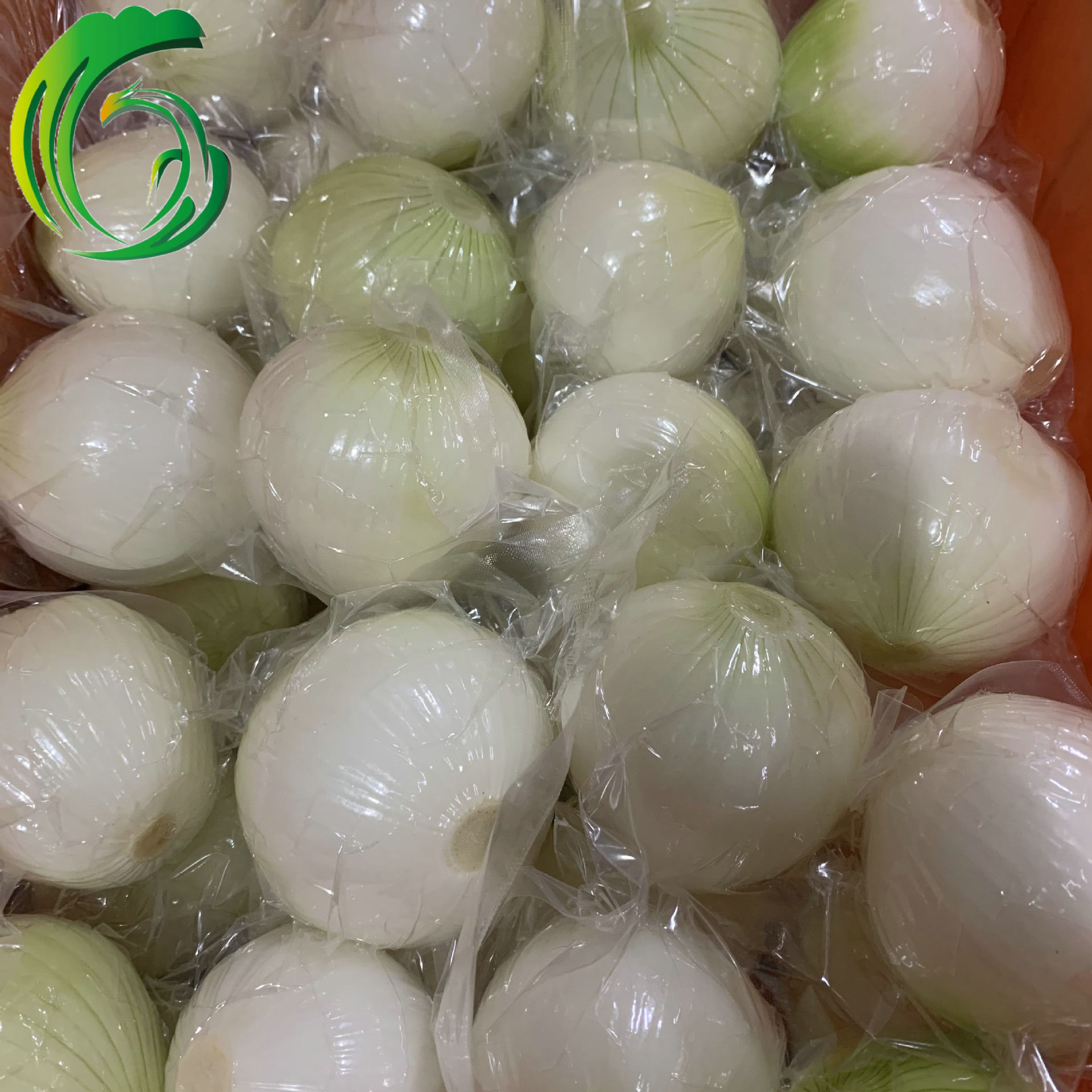 出口日本真空洋葱 4p 分离 工厂直供 河南产地 备案种植基地产