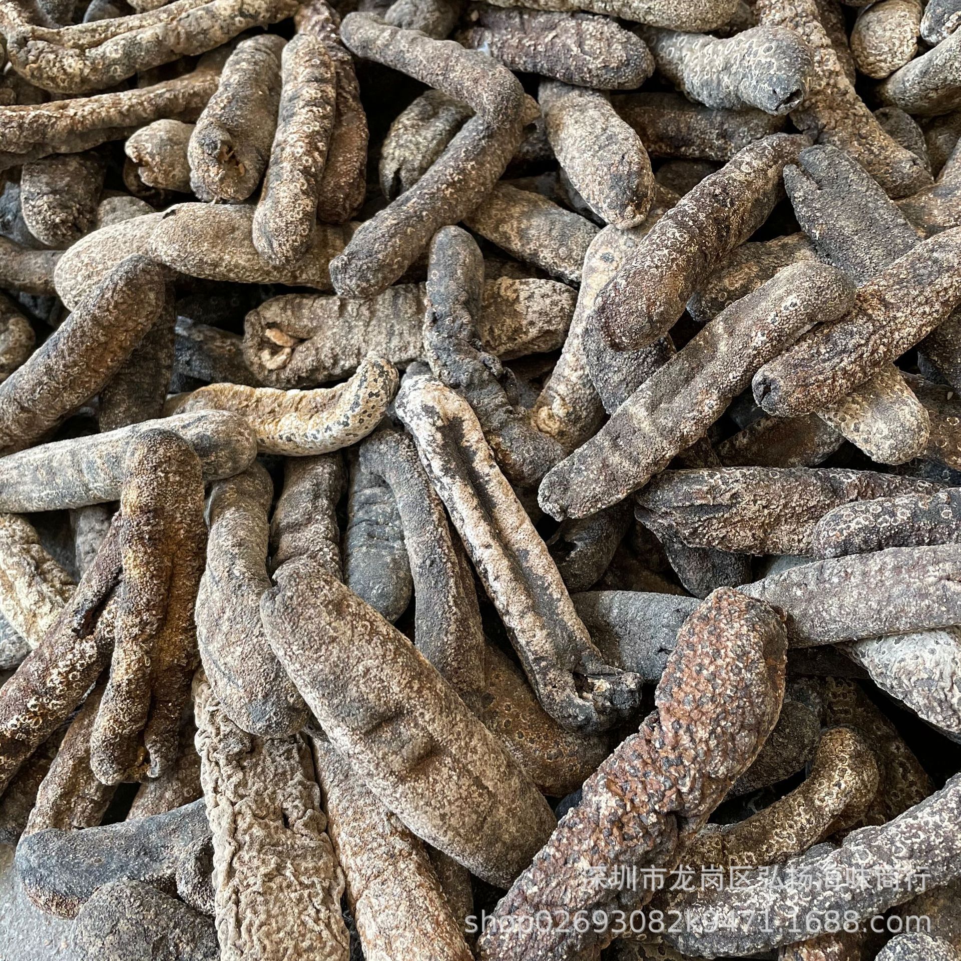 新几内亚虎皮参黑虎皮参大赤参 赤条海参干货500克7-15产地直销