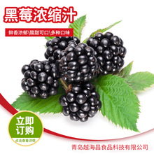 青岛厂家 黑莓浓缩果汁【美国进口】多种水果原浆供应批发