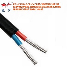 ZR-YJV0.6/1KV/2芯/铝芯塑力缆阻燃铝芯交联聚氯乙烯护套电力电缆