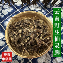 云南野生仙灵脾500g中草药天然无硫特级淫羊藿根男性泡酒料