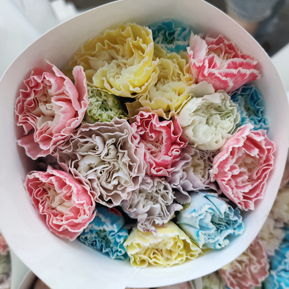 【吸色康乃馨】马卡龙 家居办公鲜花 室内插花 鲜花速递-阿里巴巴