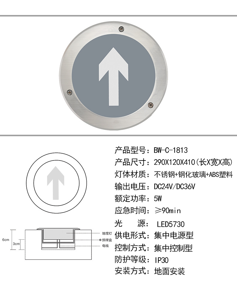 集中控制型消防应急照明灯a型低压esp智能疏散dc24安全出口指示灯
