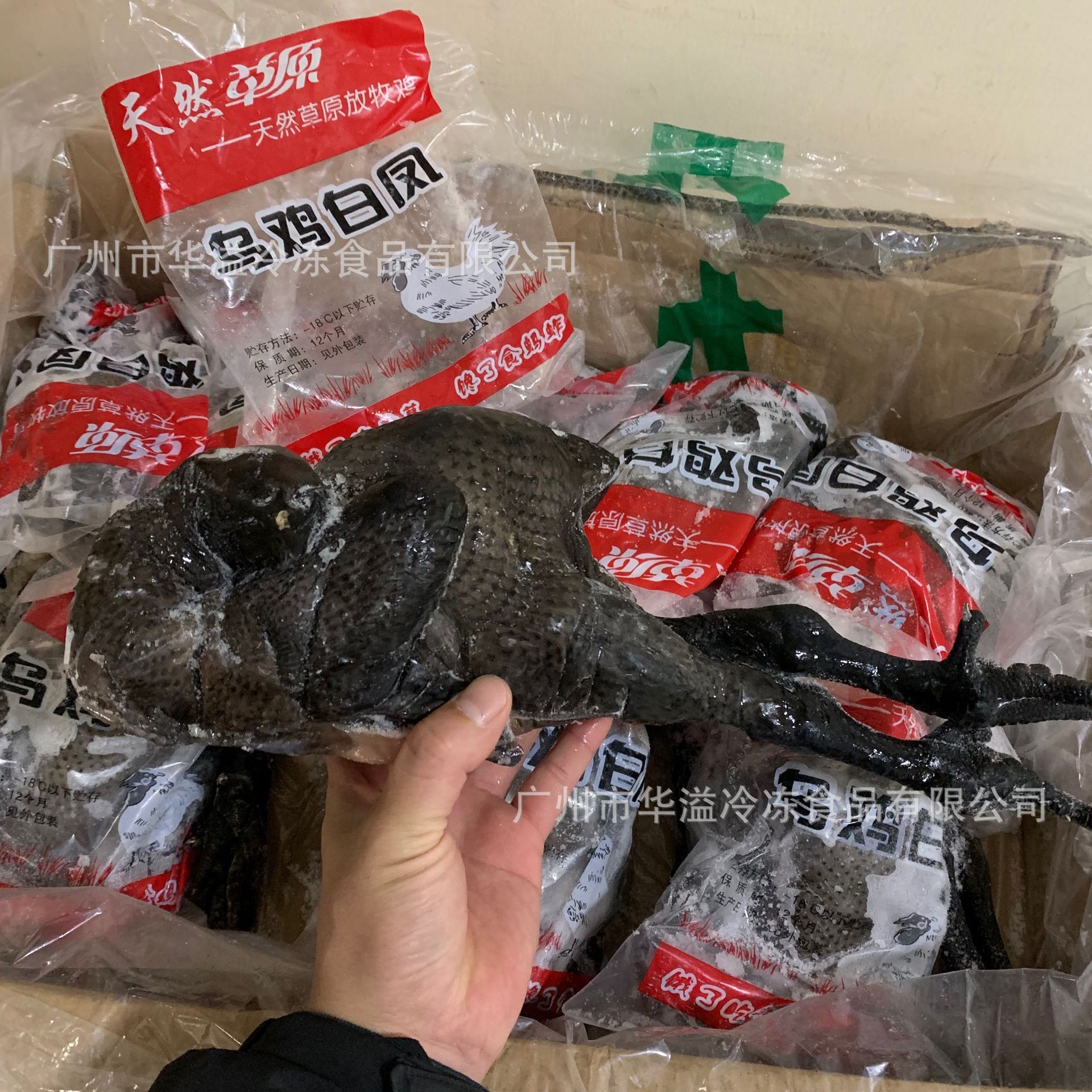 冷冻乌鸡 竹丝鸡 20斤/箱9只 广州批发炖汤食材黑乌鸡白凤竹丝鸡