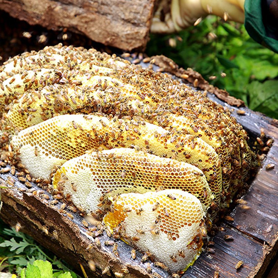 包邮蜂蜜 天然野生深山土蜂蜜农家深山百花蜜荆条蜜多规格可-阿里巴巴