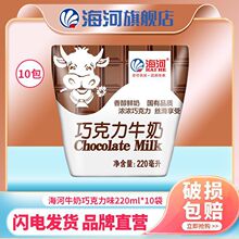 批发海河牛奶巧克力味220ml*10包整箱儿童营养早餐奶网红一件代发