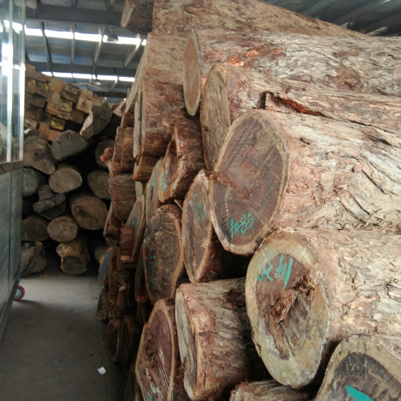 张家港原木 红酸枝木材 安哥拉小巴花原木 巴花板材现货 价格优惠
