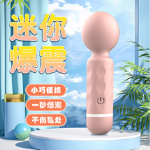 迷你女用按摩器AV入体按摩棒女性高潮自慰棒按摩仪情趣棒成人用品