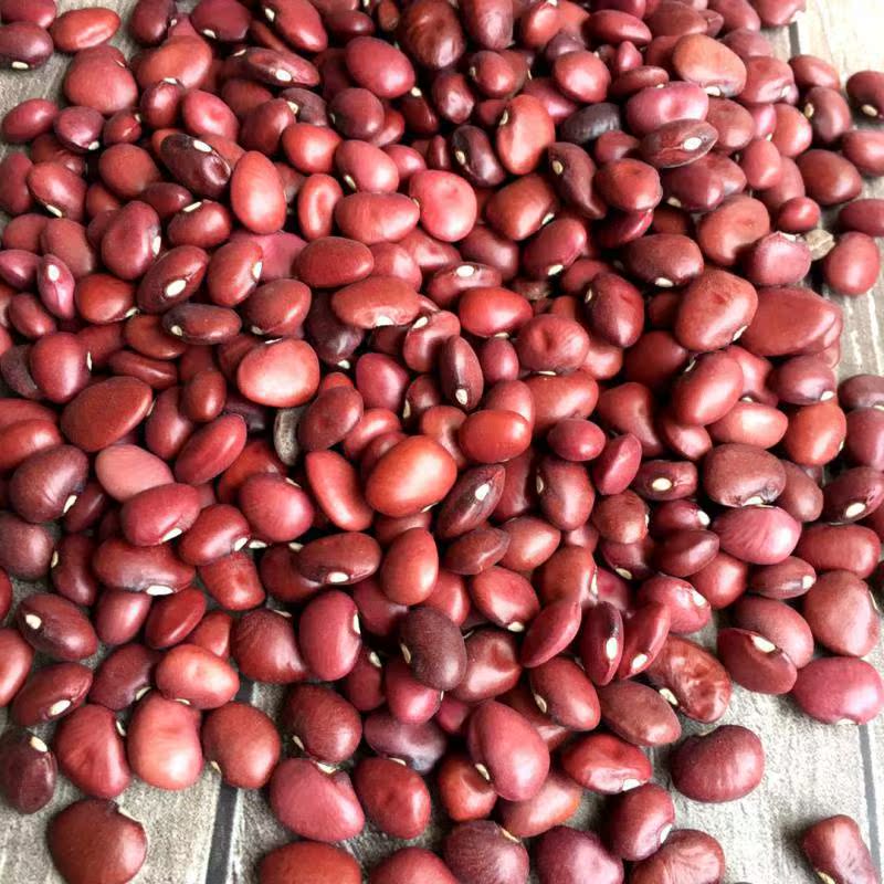 精选装小红扁豆1斤5斤红腰豆扁红芸豆精选新红扁豆小扁豆红豆豆类