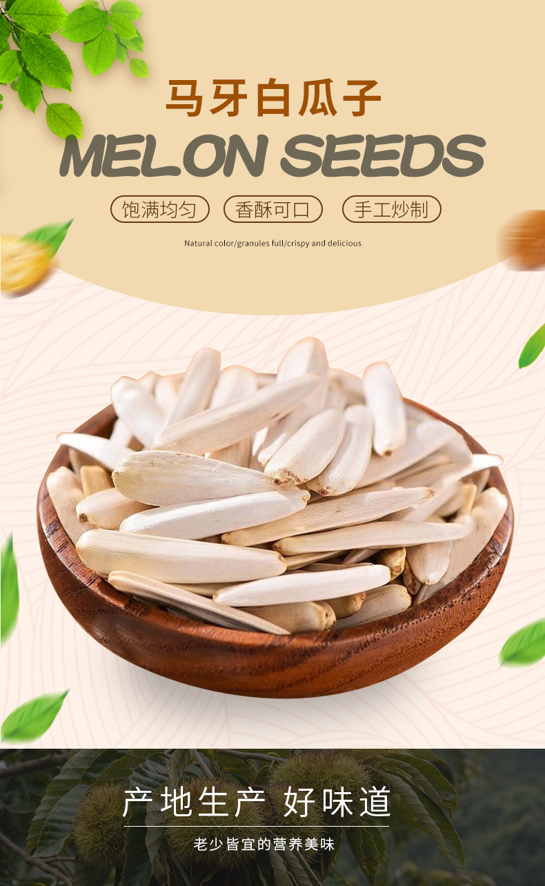手工炒制马牙白瓜子 阿克苏大颗粒原味牙签瓜子 新疆厂家马牙瓜子
