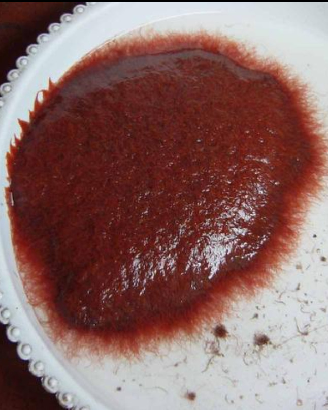 活红线虫水蚯蚓丝蚯蚓线蛇孔雀鱼食鱼粮鱼饲料批发-阿里巴巴