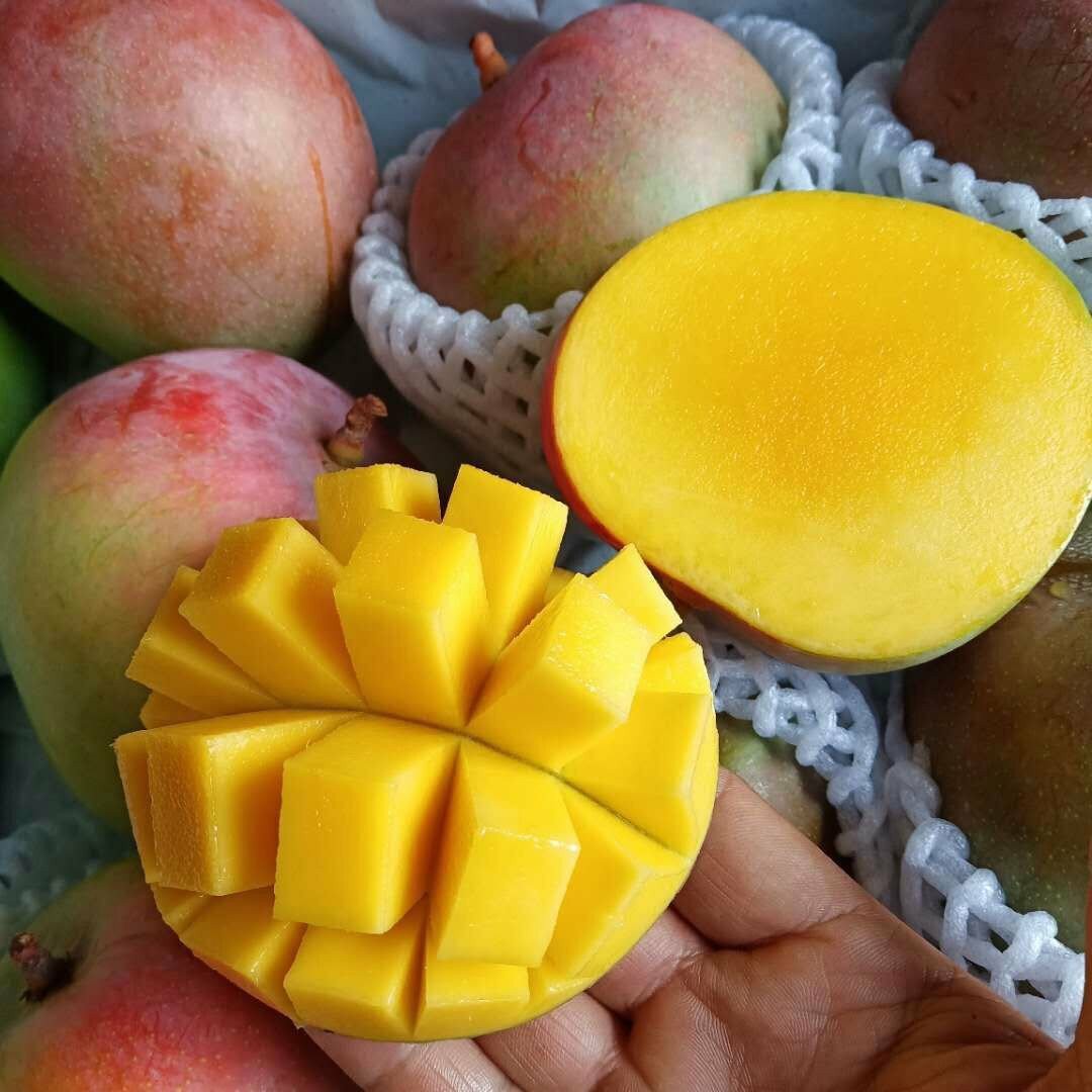 澳芒芒果大果新鲜水果5斤小核大芒果好物非攀枝花凯特青芒甜心芒