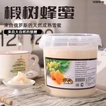 俄罗斯进口蜂蜜 蜂蜜椴树原蜜椴树蜜1250g小罐装一件代发