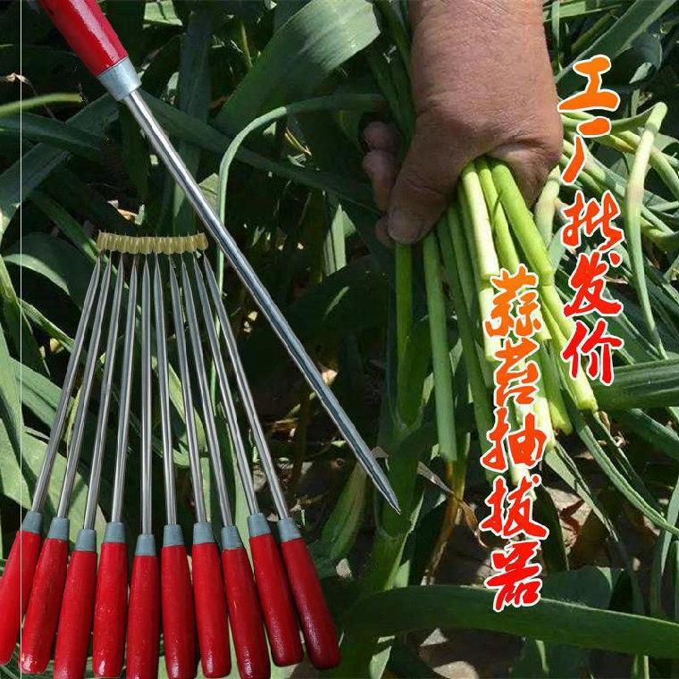 挖蒜器刀打机器蒜苔提拔针拨采收抽2019年收割家用蒜薹专用农家