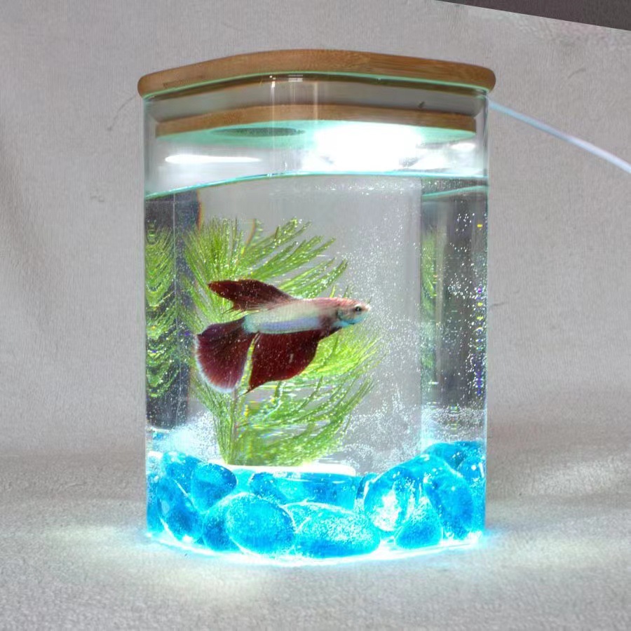 泰国斗鱼缸斗鱼双缸微景观桌面摆件超白玻璃小鱼缸办公桌电视柜