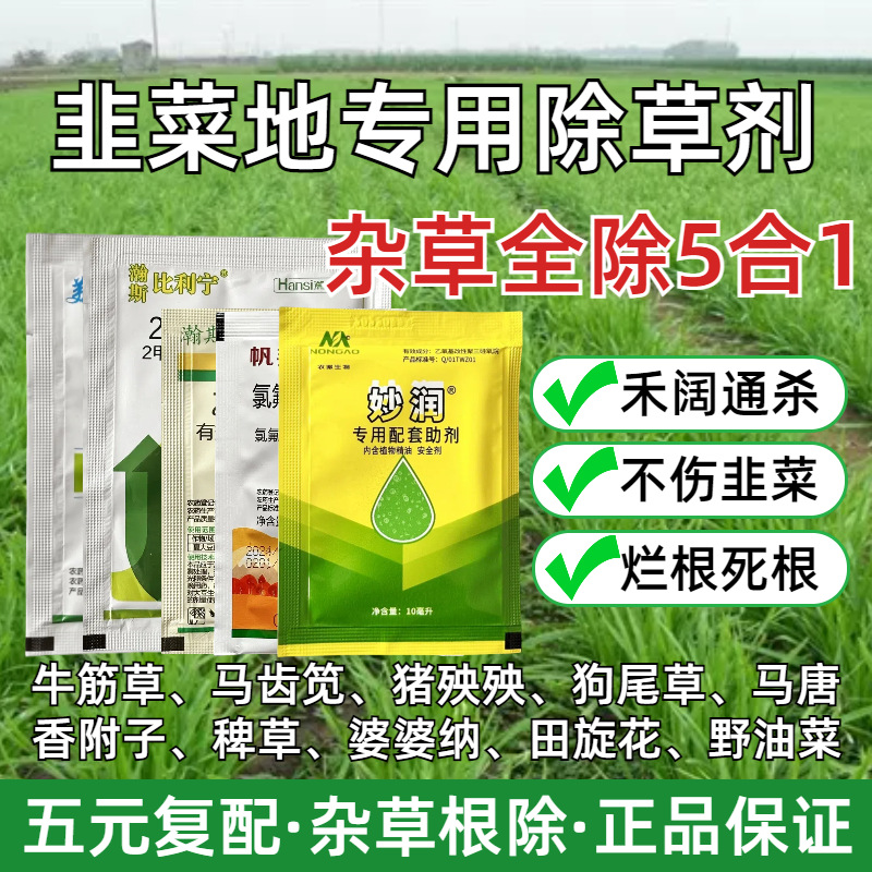 韭菜苗后专用除草剂组合马齿笕牛筋草水花生禾阔双杀安全快速死草