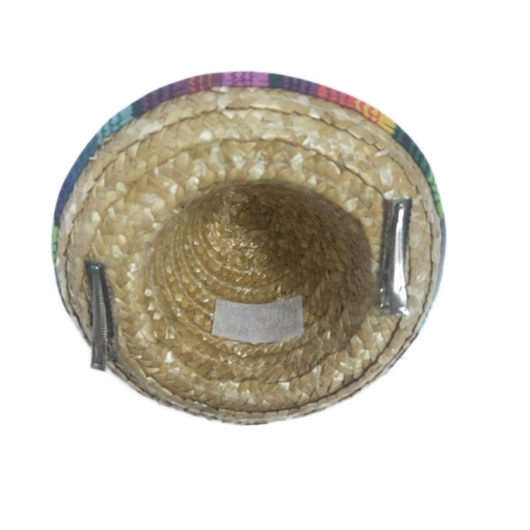 Amazon Pet Woven Straw Hat Princess Veil Suit Mexico Style Hat Cross-Border Sunshade Adjustable Hat